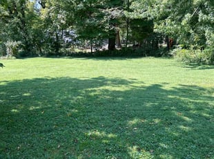Carolyn D.'s residential landscaping service result
