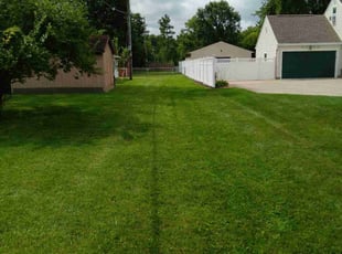 Robin H.'s grass maintenance service result