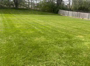 Jennifer B.'s lawn care services service result