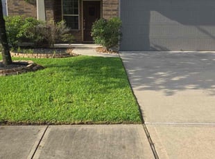 Cindy T.'s turf care service result
