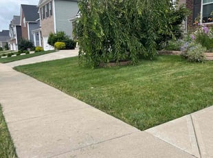 Misty J.'s lawn service service result