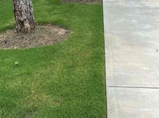 J S.'s landscape maintenance service result