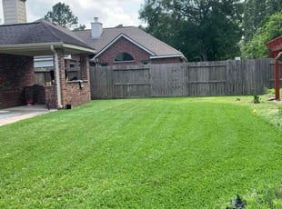Remi A.'s turf care service result