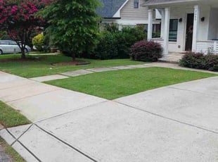 Dustin P.'s turf maintenance service result