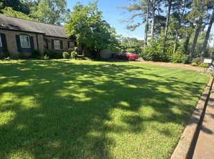 Juanita B.'s lawn service service result