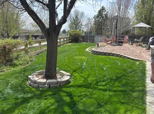 Andrew C.'s lawn care services service result