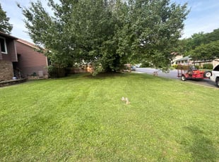 Jessica B.'s lawn maintenance service result