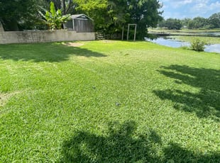 Michael G.'s turf maintenance service result