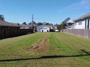 William T.'s lawn maintenance service result