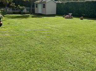 Andre M.'s turf maintenance service result