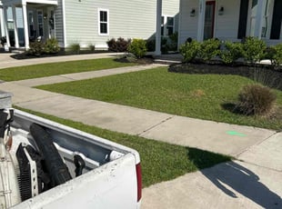 Maria P.'s lawn care services service result