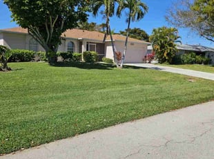 Wayne E.'s lawn maintenance service result