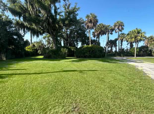 Olga C.'s turf maintenance service result