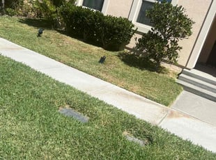 Meredith P.'s turf maintenance service result