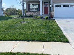 Volodiya K.'s lawn service service result