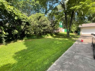 Zay Y.'s turf maintenance service result