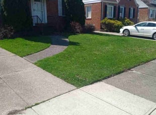 Denise W.'s lawn care service result