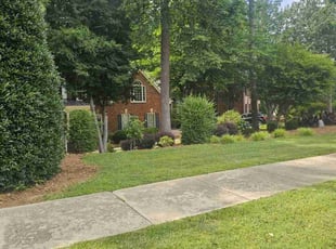 Demetria C.'s grass cutting service result