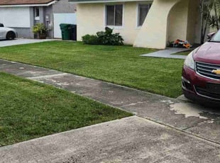 Stacey F.'s grass maintenance service result