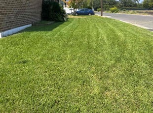 Uttar C.'s lawn care services service result