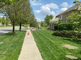 Karen C.'s lawn care services service result