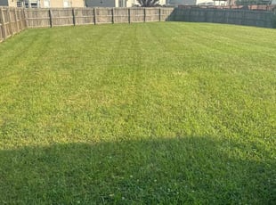 Mai V.'s lawn care services service result