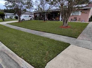 Erin E.'s grass maintenance service result