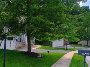 Jerlin B.'s Tree Trimming service result