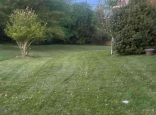 Frank S.'s lawn care services service result