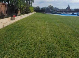 Ingmar N.'s grass maintenance service result