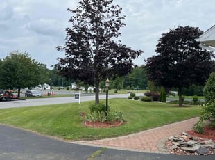 Jason Y.'s yard service service result