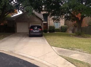 David M.'s Bush Trimming service result
