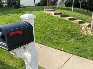 Burt S.'s turf maintenance service result