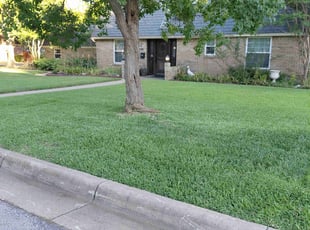 Chris L.'s lawn service service result