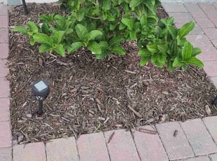 Josh J.'s Flower Bed Weeding service result