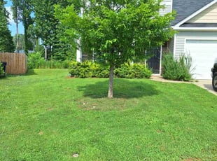 Jason M.'s lawn care service result