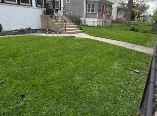 Tyler P.'s grass maintenance service result