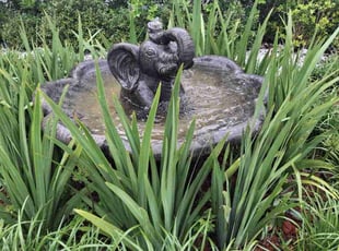 Naomi C.'s lawn care services service result