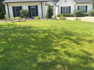 Brinda H.'s turf care service result