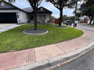 Deshay A.'s turf care service result