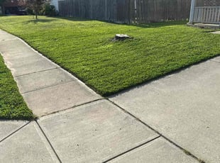 Daniel W.'s grass cutting service result