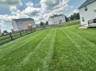 Cristel E.'s lawn care service result