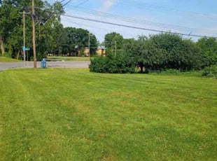 Sonia W.'s turf care service result