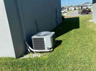 Albert M.'s turf care service result