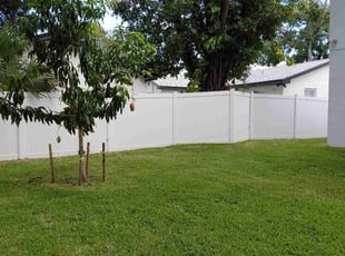 Dana M.'s lawn care services service result