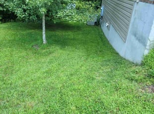 Zulfan B.'s lawn care services service result