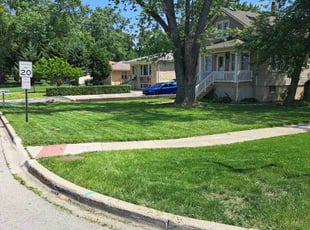 Felix B.'s lawn service service result