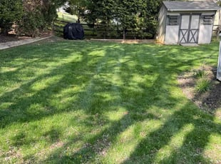 Shuo W.'s turf maintenance service result