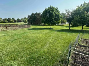 Keith A.'s turf care service result