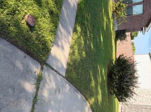 Mare C.'s grass maintenance service result